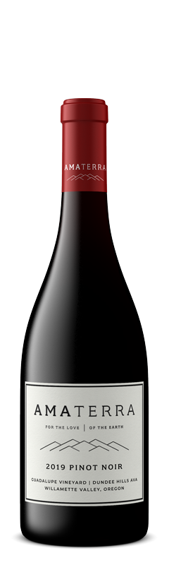 Amaterra Pinot Noir Guadalupe 2019 Bottle