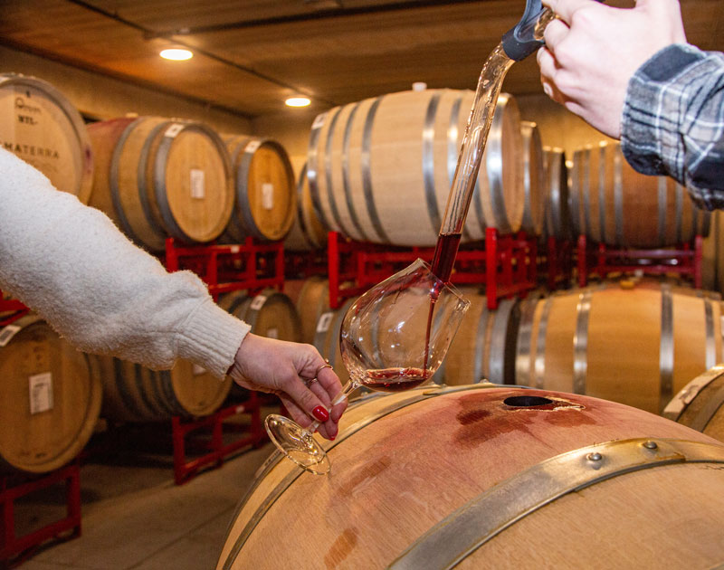Wine tasting in the barrel room