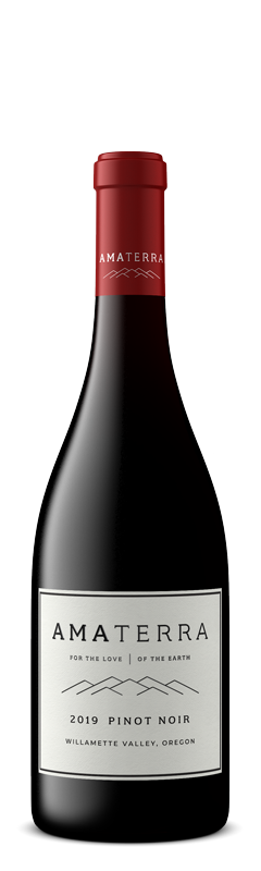 2019 Pinot Noir Willamette Valley