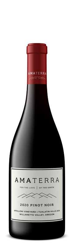 2020 PINOT NOIR APOLLONI VINEYARD bottle