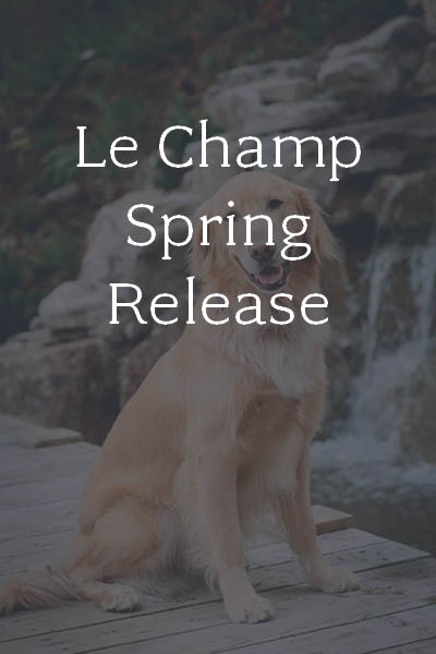 Le Champ Spring Release