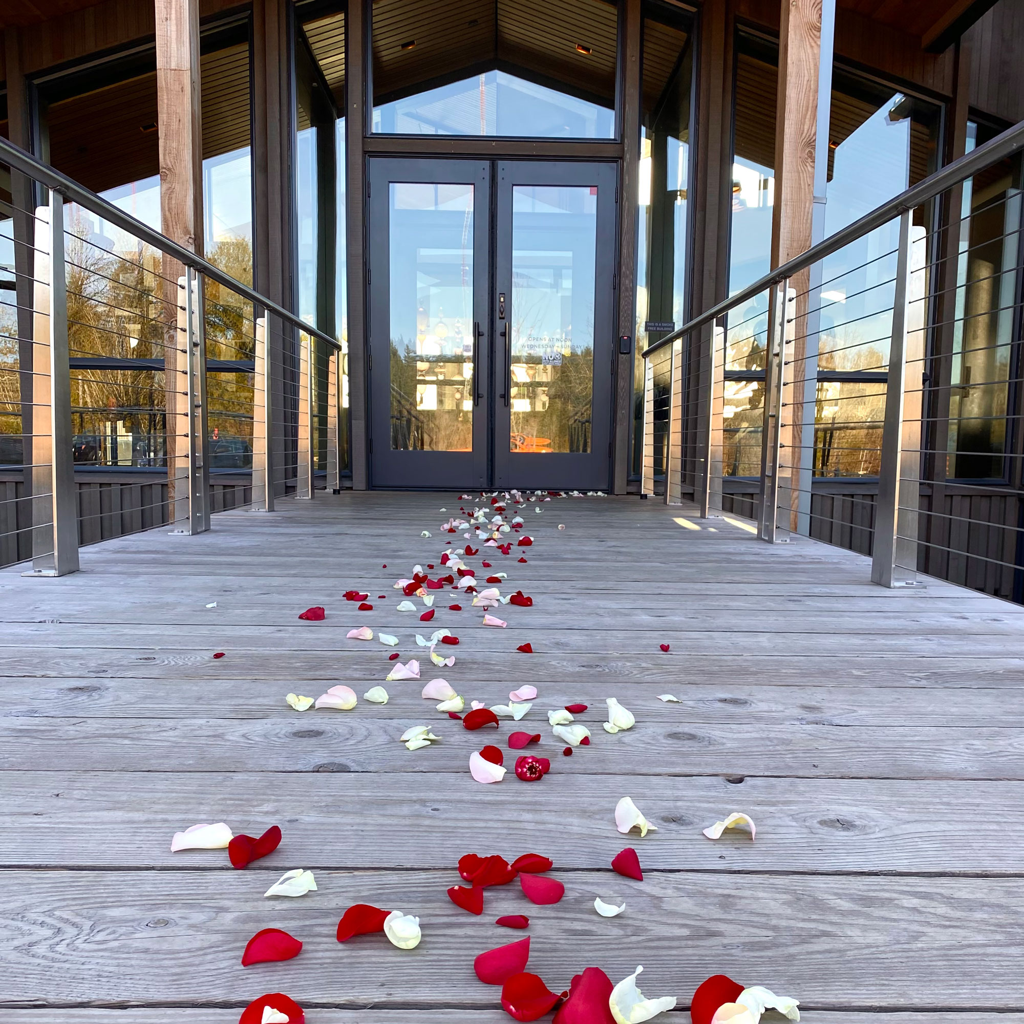 Rose pedals leading to front door of Amaterra winery.