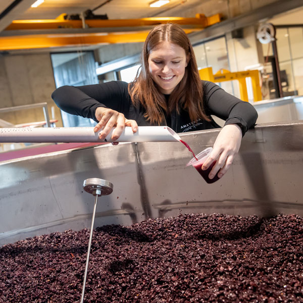 Winemaker pouring wine directly from tank