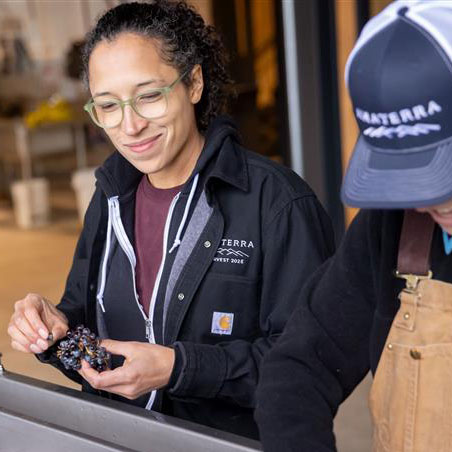 Winemaker at Amaterra Winery